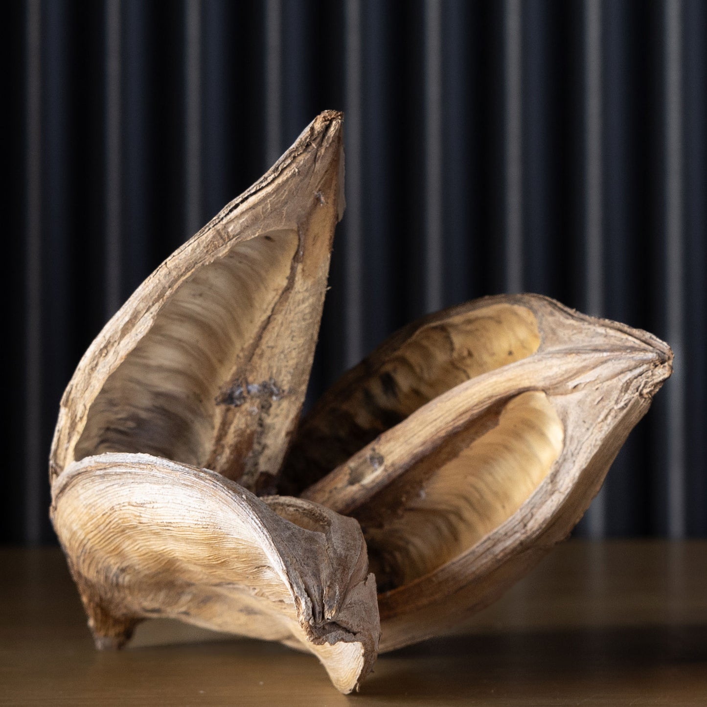 Real Reserved Gold Sora Pod Décor