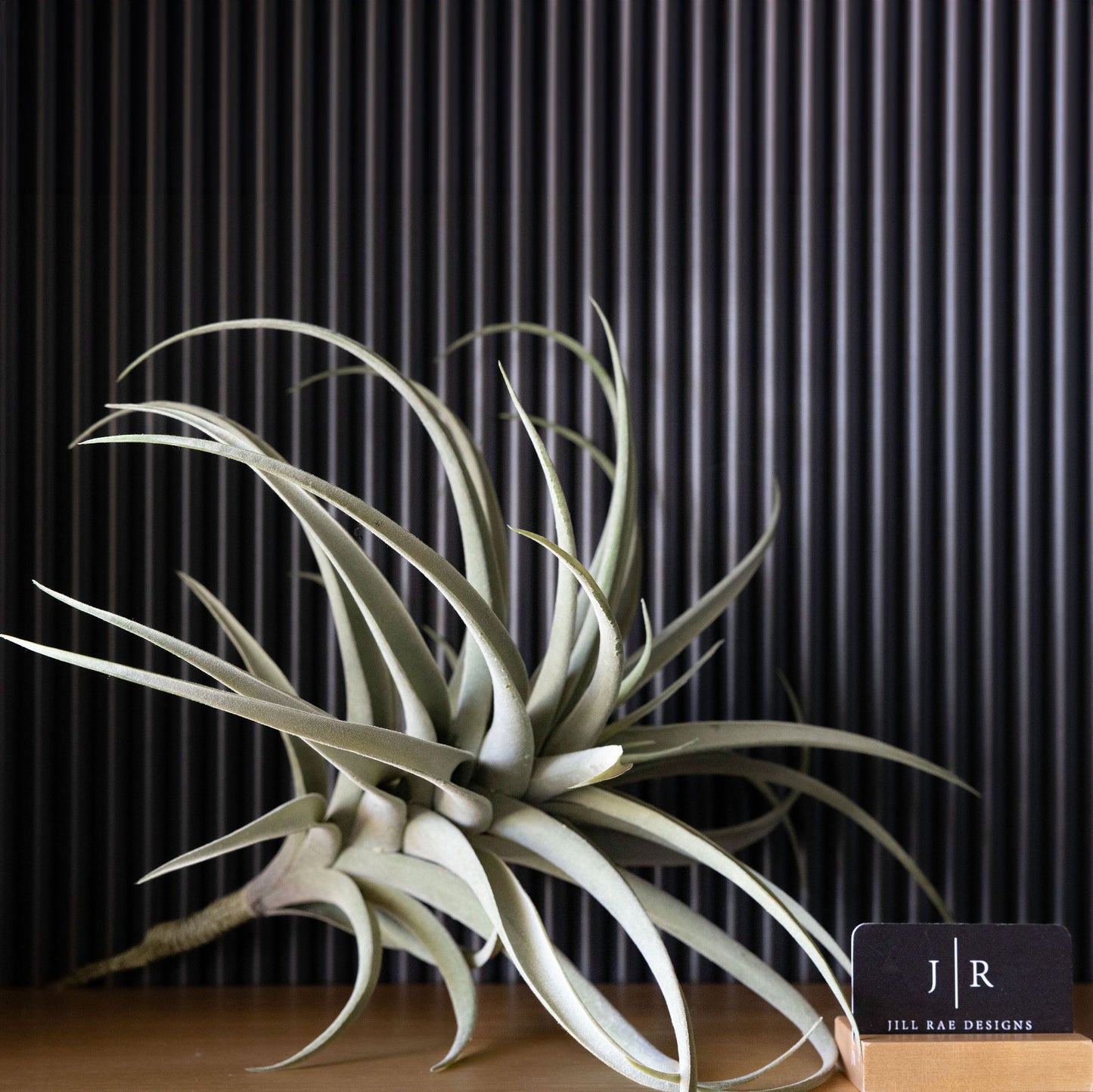 Giant Artificial Air Plant