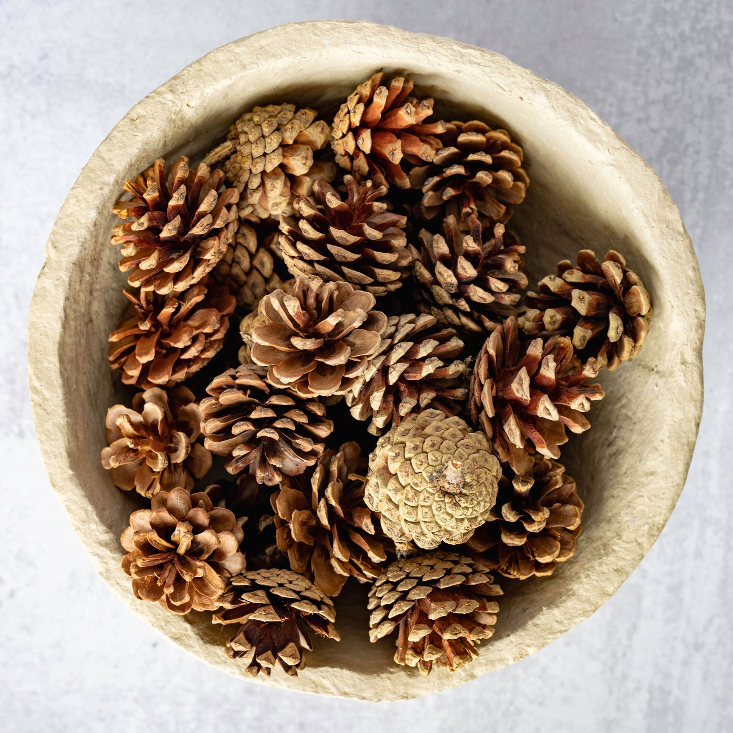 Pinecones